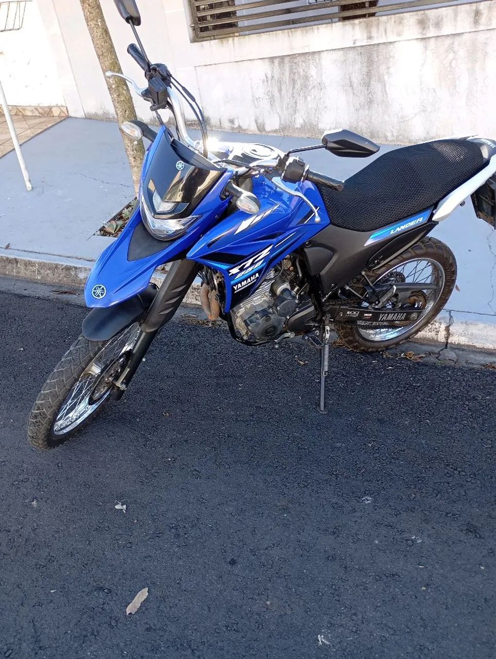 Lander Azul Flex