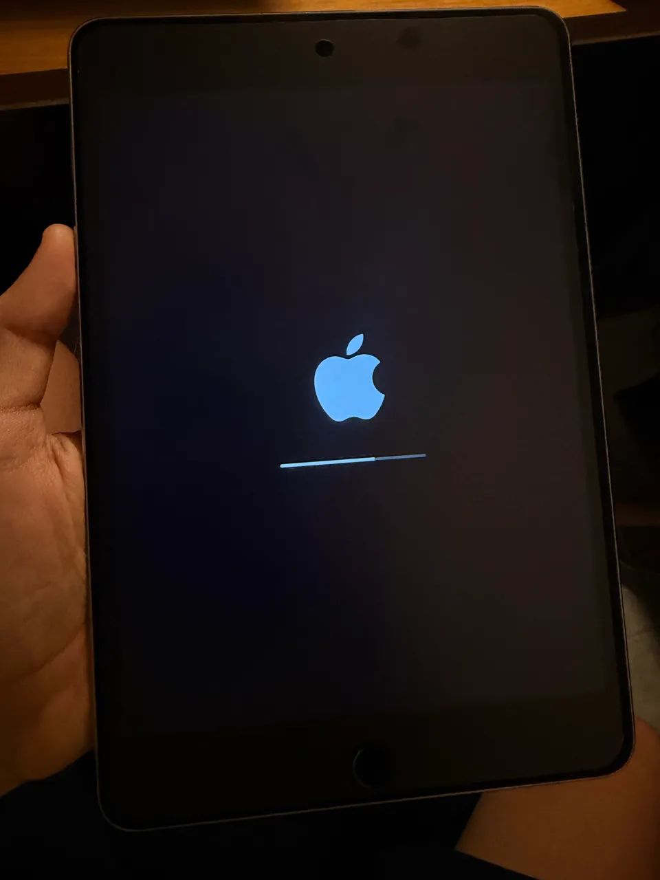 iPad mini 4 