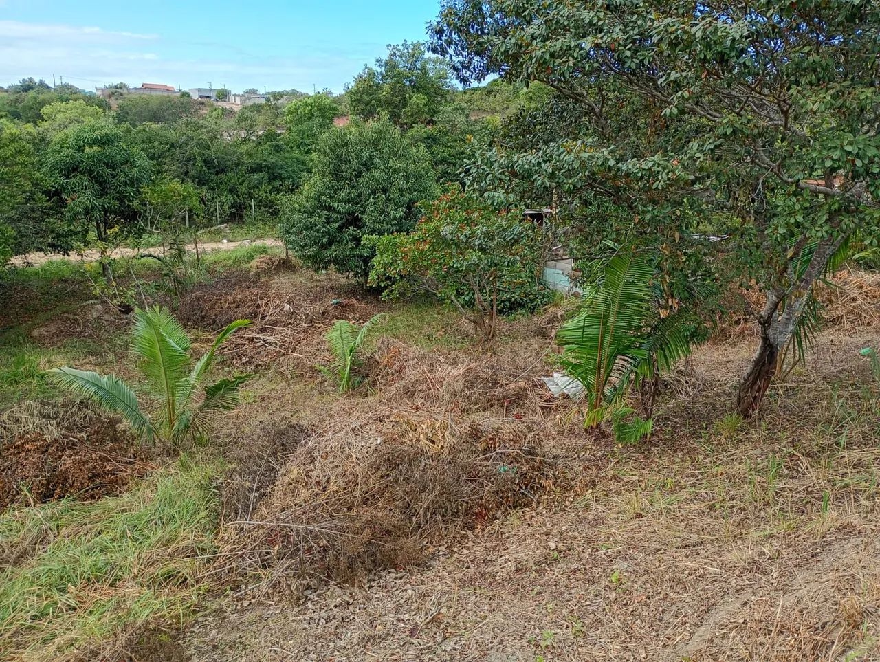 Vende-se Terreno  - Foto 4