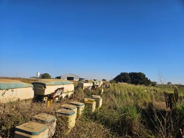 Plantadeira Tatu PST3 Suprema - Para Retirada de Peças / Sucata - Foto 2