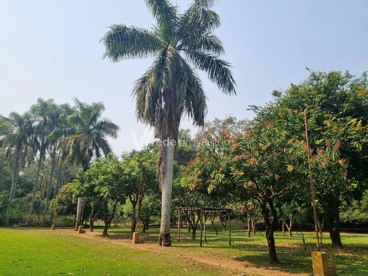 chácara - Loteamento Parque Centenário - Indaiatuba - Foto 2