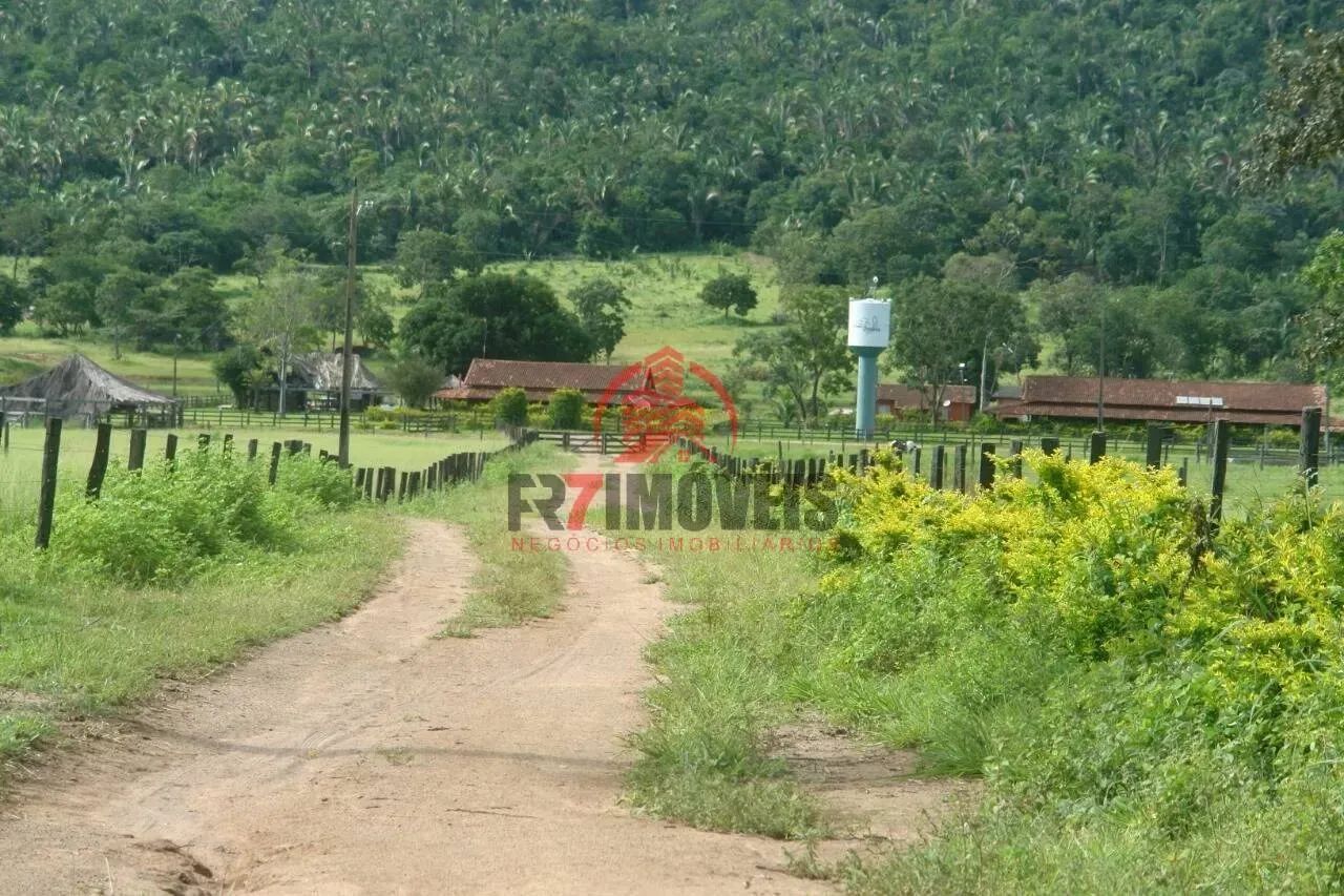 FAZENDA EM JUSSARA  GO - Foto 5