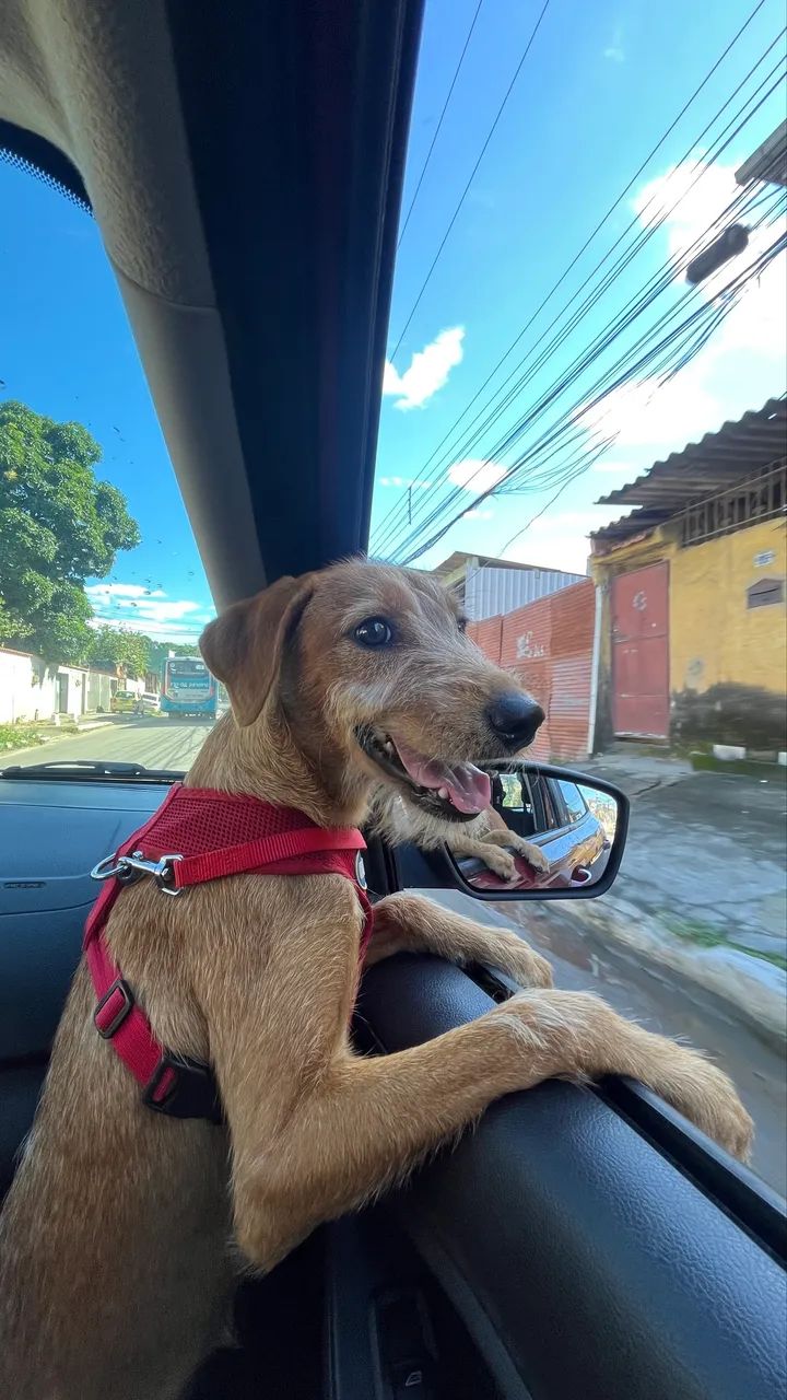 Doação - Foto 2