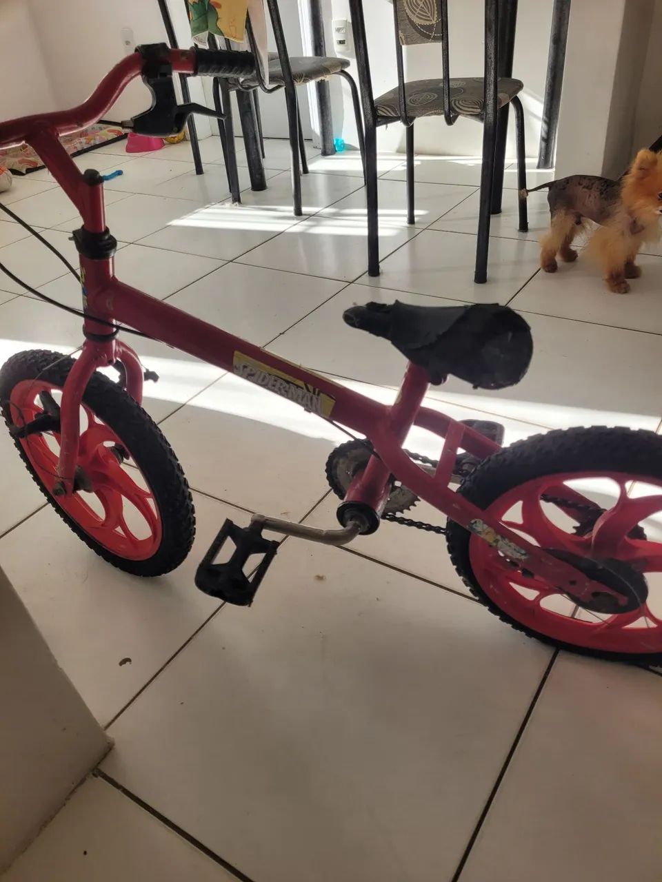 Bicicleta 
