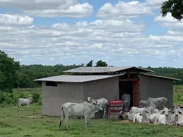 Fazenda a 40 Km de Cuiabá - Foto 2