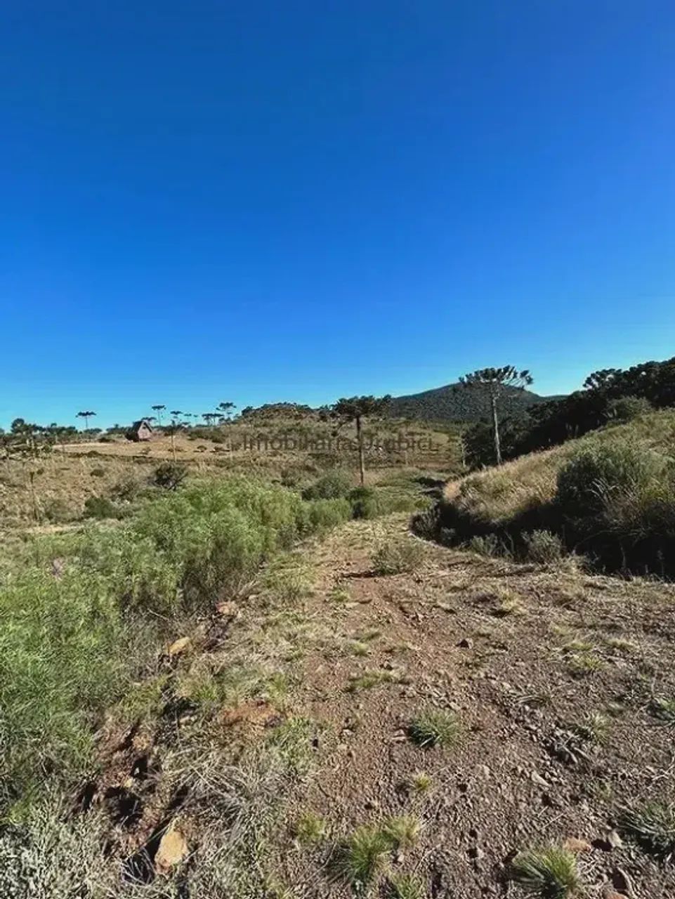 LOTE EM URUPEMA À VENDA - Foto 5