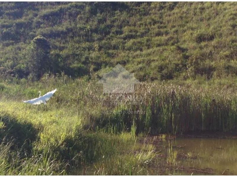 Chácara a venda - , Redencao da Serra - Foto 5