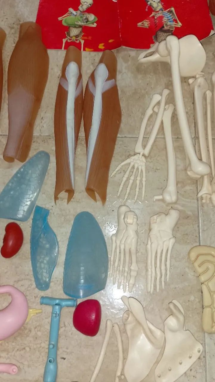 Coleção Corpo Humano SALVAT  - Foto 3