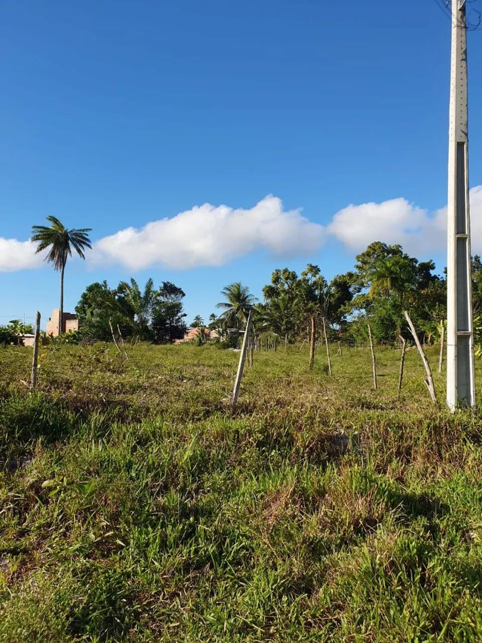 Terreno