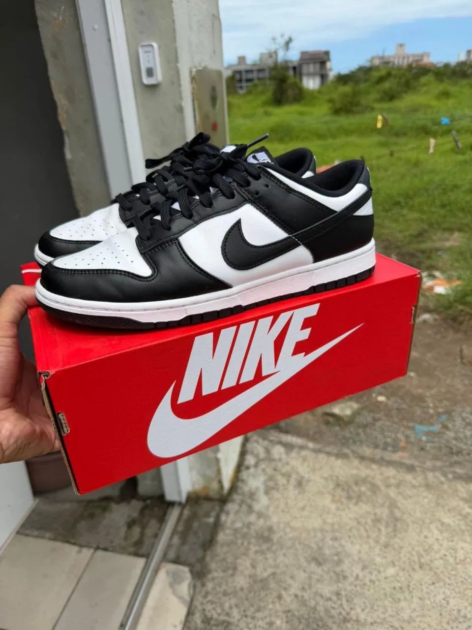 Tênis nike dunk low original 
