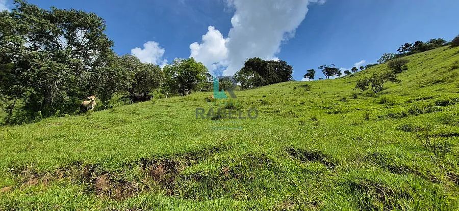 SÍTIO FORMADO À VENDA EM ITAJUBÁ-MG - Foto 5