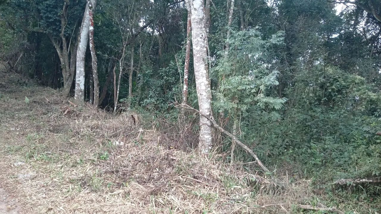  Lote para chácara Aracariguama  - Foto 3