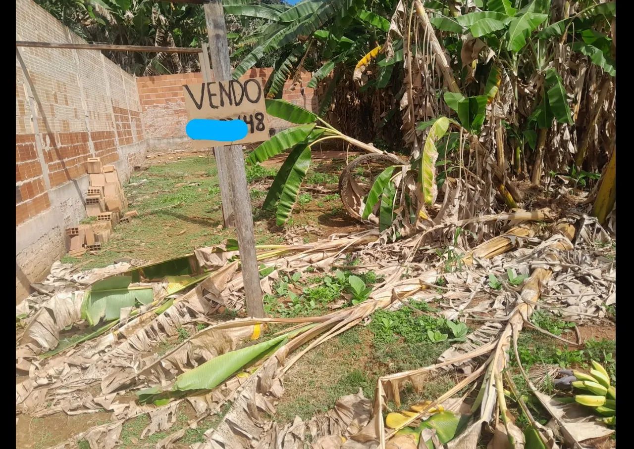 Lote boramanso são Sebastião  - Foto 3