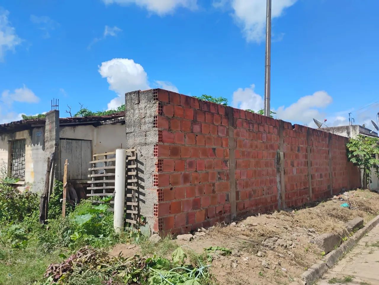 Terreno de esquina em palmeira dos índios  - Foto 3