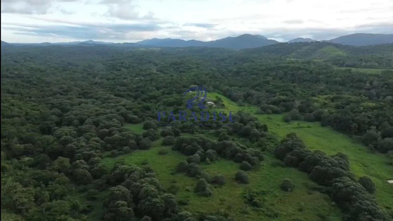 Fazenda, Centro, Ilhéus - R$ 6.65 mi, Cod: 69022 - Foto 5