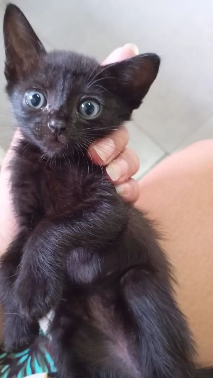 Doação responsável 