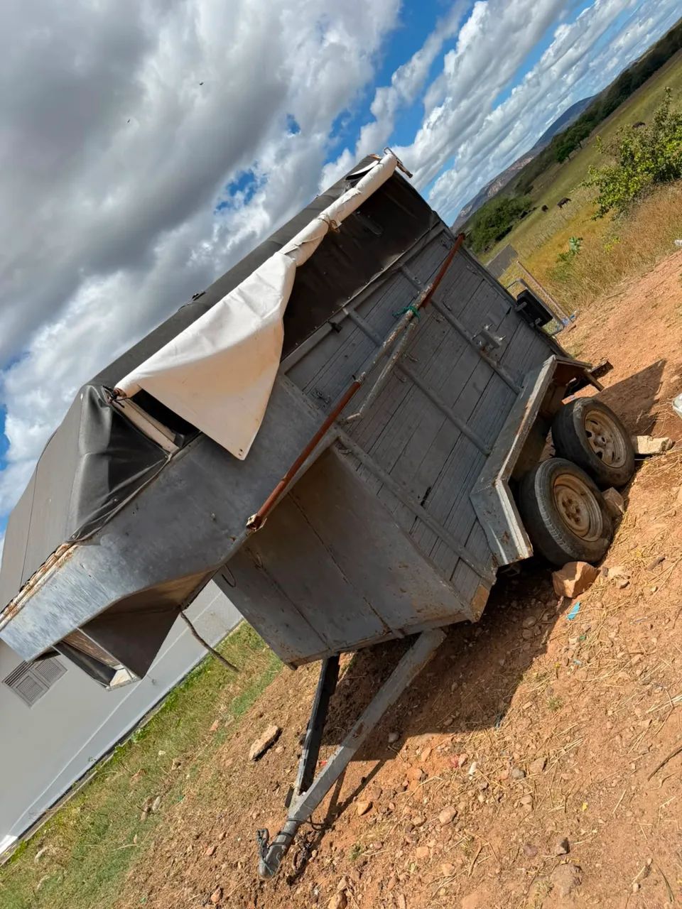 Égua a venda  - Foto 4