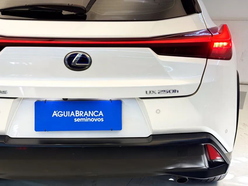 Lexus UX-250h Luxury 2.0 16V Aut.(hybrid), foto 9 de 19