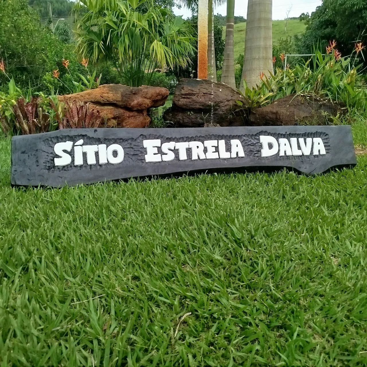 Placas entalhadas em madeira  - Foto 5
