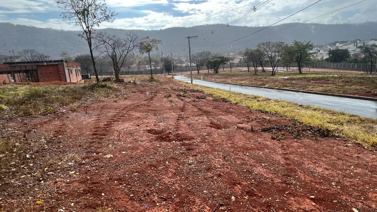 Lote Hibiscos - Foto 5