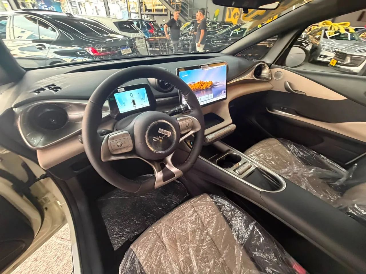 BYD Dolphin GS (Elétrico) 2027 - Foto 4