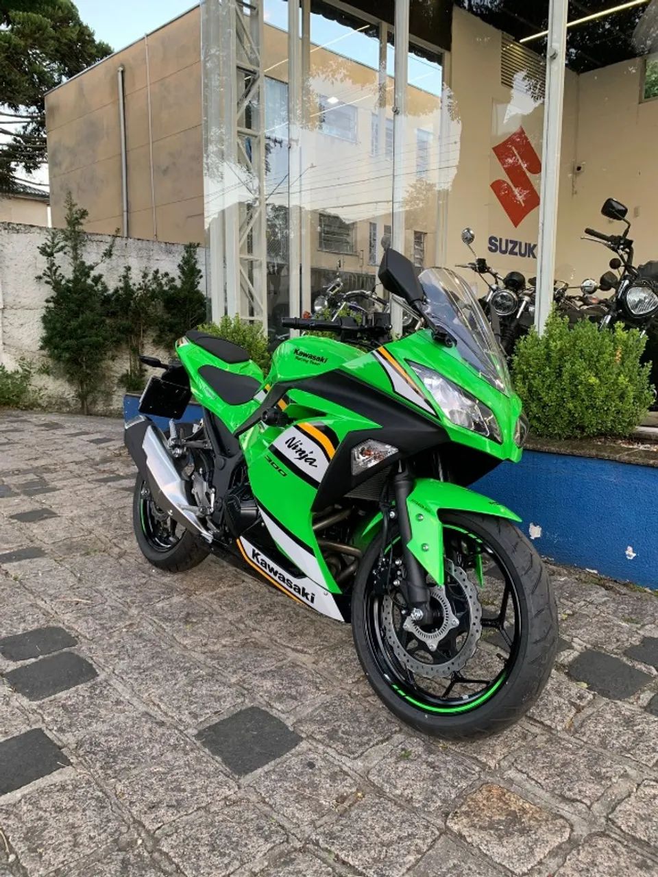 Kawasaki 300 2025 - 1493099291 | OLX