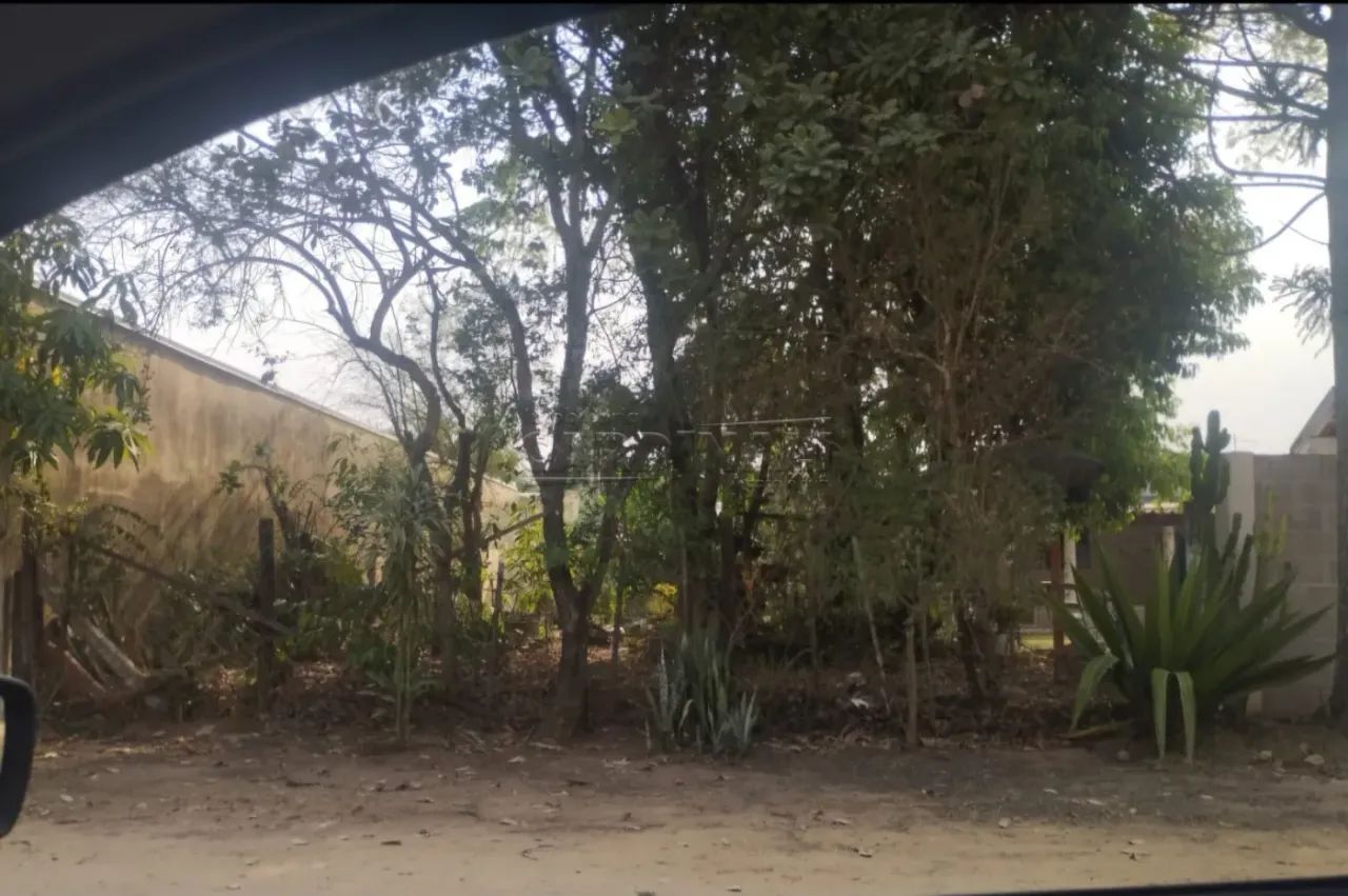 Terreno Padrão em Brotas - Foto 3