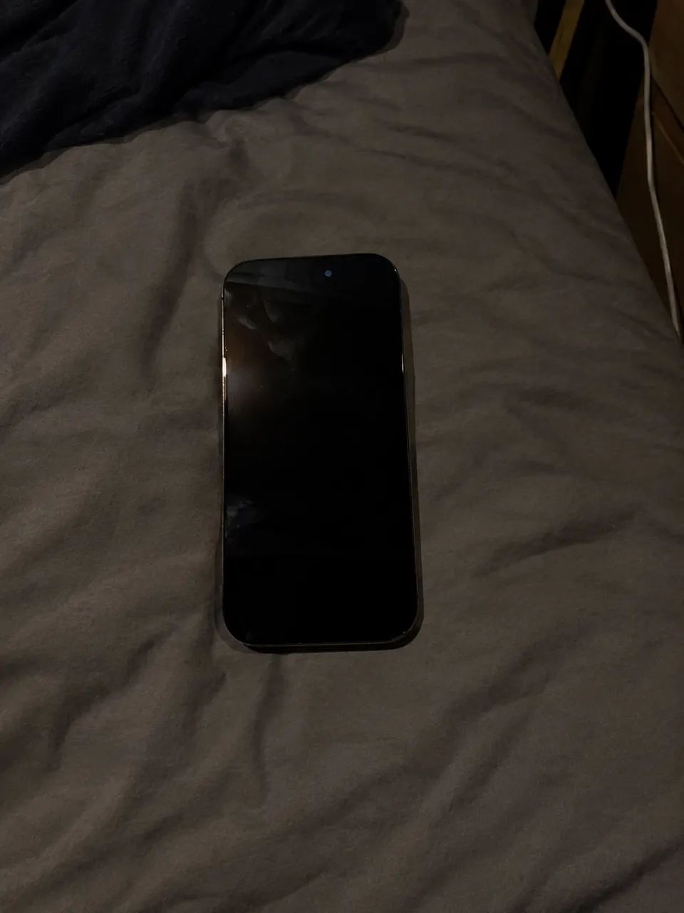 iPhone 16 Pro 