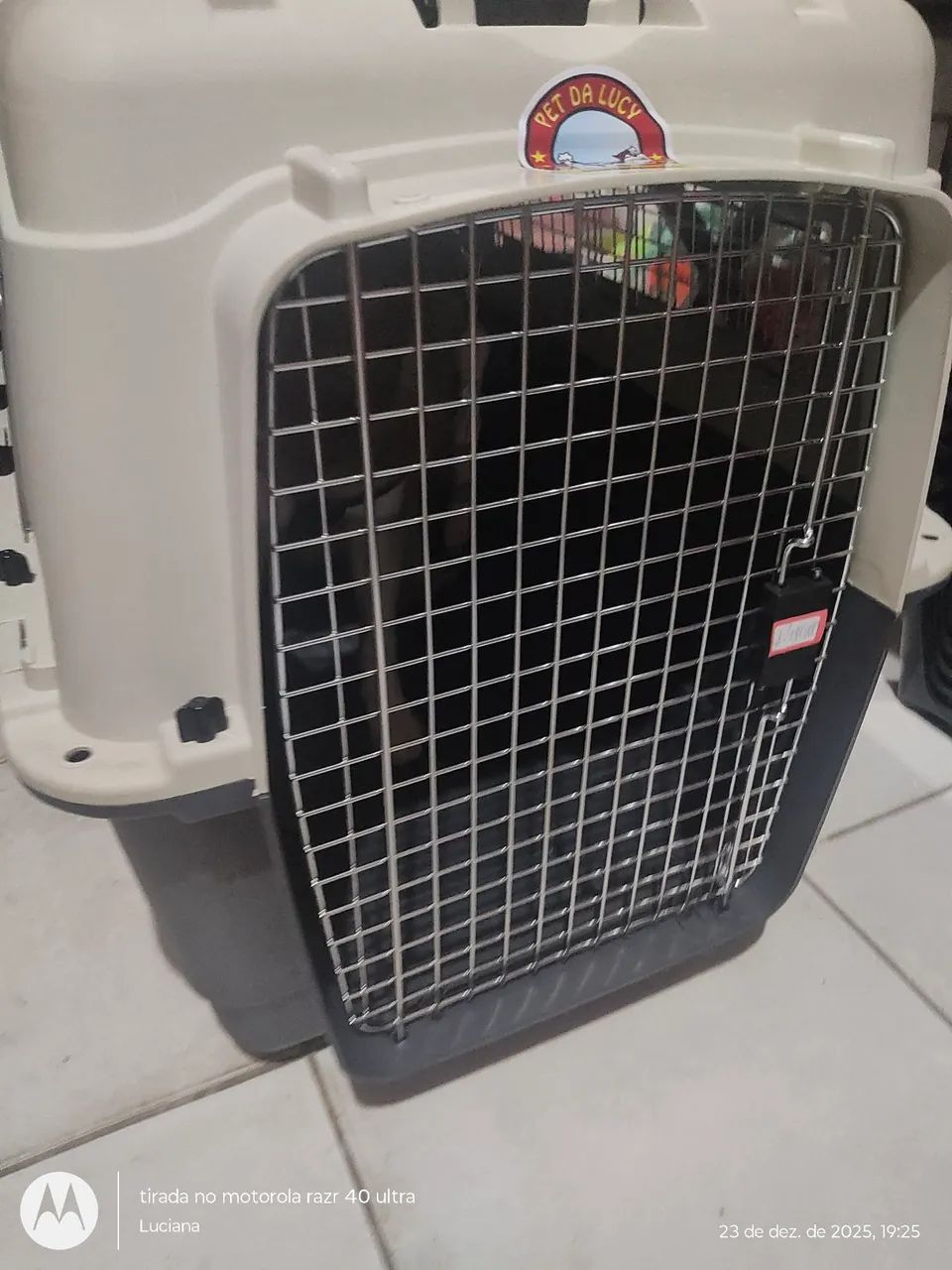 Transporte padrão IATA para viagem pet - Foto 3