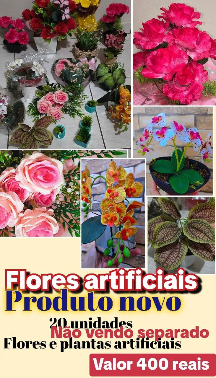Decoração Nova 