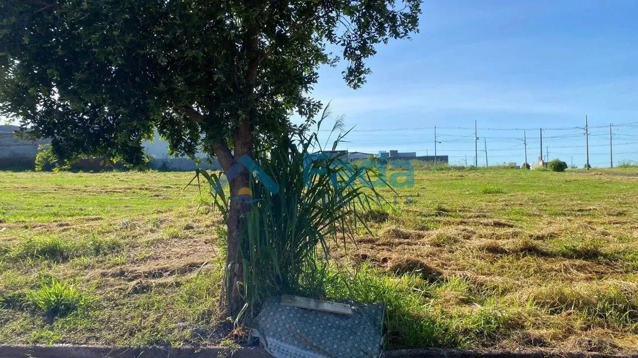 PORTO RICO - Terreno Padrão - Loteamento Jardim Grécia - Foto 2