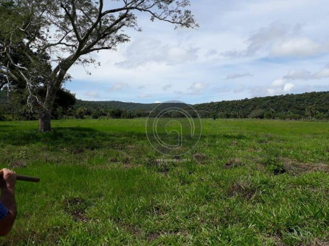 Chacara 40 hectares em mimoso - Foto 18