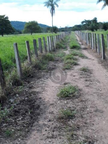 Chacara 40 hectares em mimoso - Foto 2