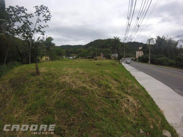 Terreno em blumenau - Foto 2