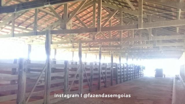 Oportunidade! Fazenda com 3.475 hectares - Foto 16