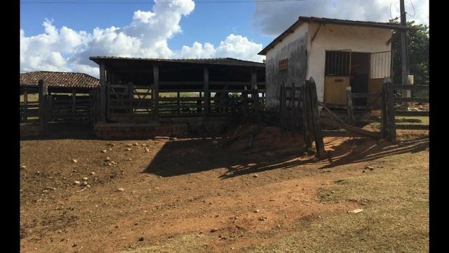 Fazenda em Itagimirim Sul da Bahia - Foto 3