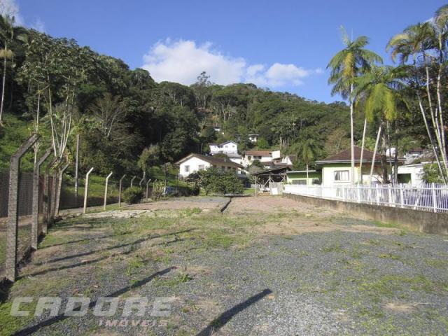 Terreno - Foto 3