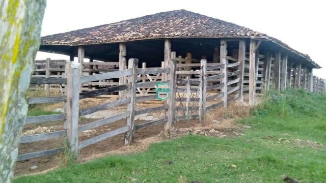 Itagibá. Fazenda pecuária de 375 Hectares com toda infraestrutura. - Foto 9