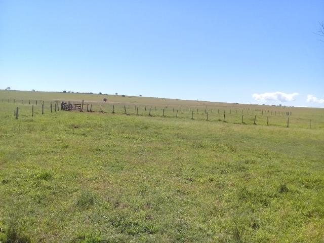 Oportunidade! Fazenda com 3.475 hectares - Foto 18