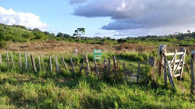 Itagibá. Fazenda pecuária de 375 Hectares com toda infraestrutura. - Foto 4