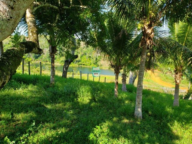 Ubaitaba. Fazenda com 140 Hectares. Mista de cacau e gado - Foto 12