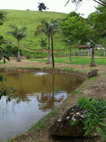 Fazenda rica em água ótimo para Gado - Cód 1505 - Foto 2