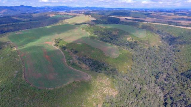 Fazenda (185 alqueires) - Cerro Azul - Foto 12
