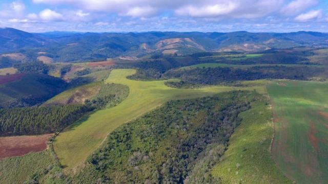 Fazenda (185 alqueires) - Cerro Azul - Foto 3
