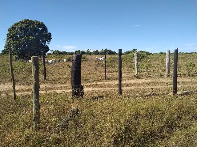Vendo sítio em São Mateus 