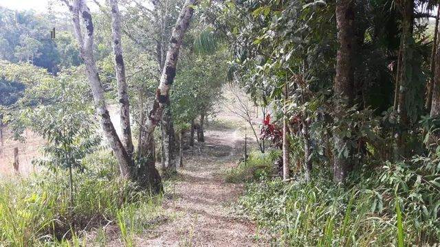 Sítio para Venda em Centro Tapiraí-SP - Foto 2