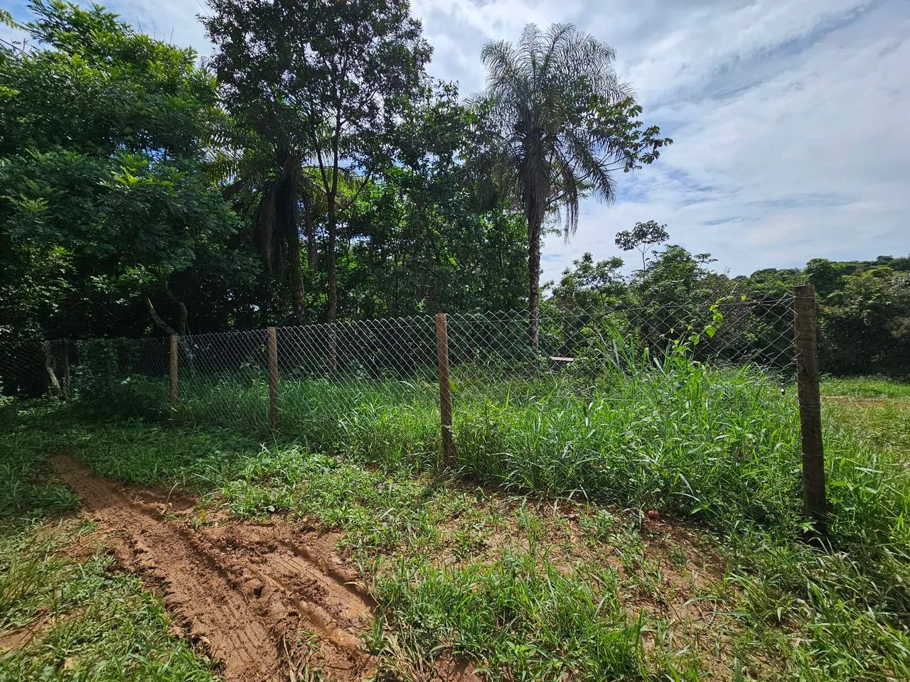 Terreno com acesso exclusivo a cachoeira no centro de Chapada dos Guimarães! - Foto 3