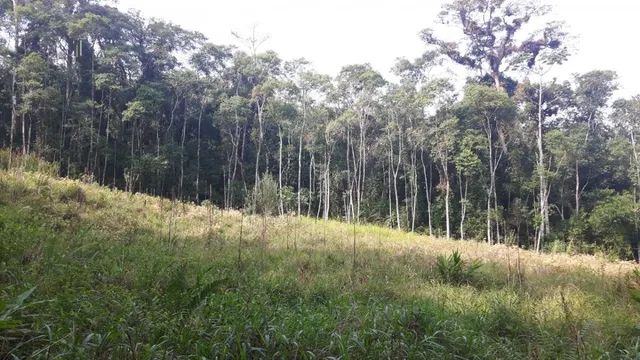 Sítio para Venda em Centro Tapiraí-SP - Foto 3