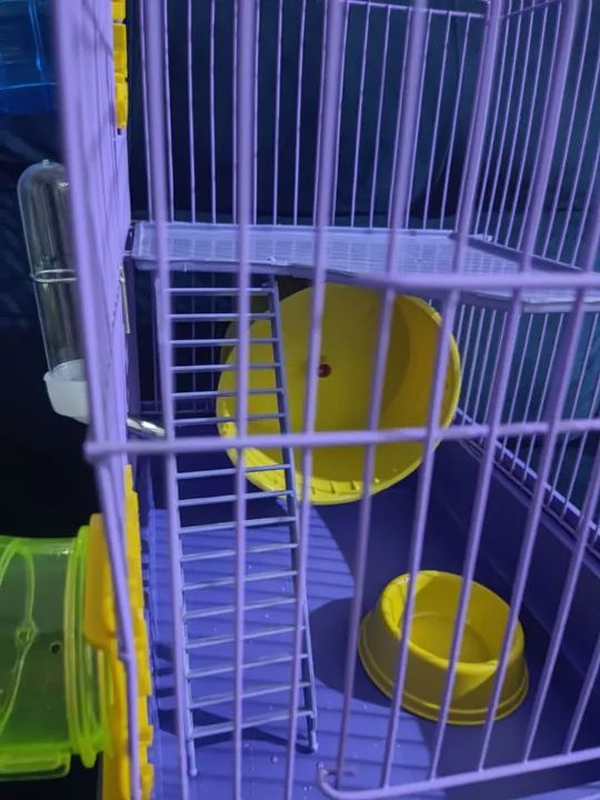 Gaiola para Hamster  - Foto 3