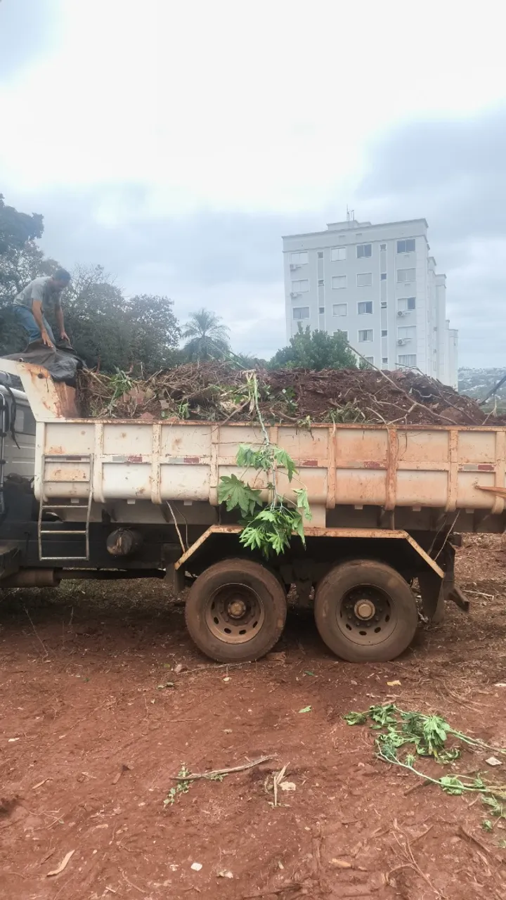 bobcat,demolic?es terraplenagem limpeza venda de terra etc..